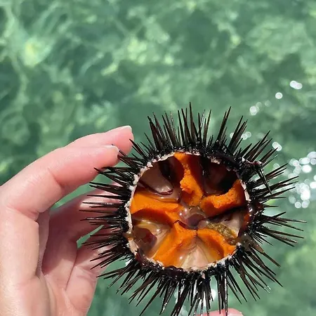 Daire Dimora La Pinta '700